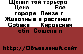 Щенки той терьера › Цена ­ 10 000 - Все города, Пенза г. Животные и растения » Собаки   . Кировская обл.,Сошени п.